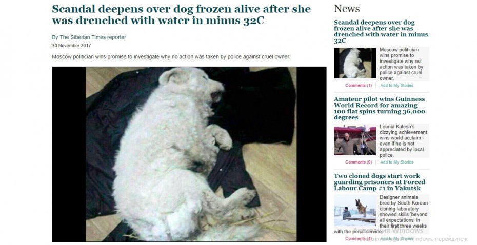 О замерзшей в Якутске белой собаке написали зарубежные СМИ