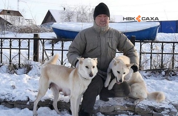 Клонированную собаку Кэрэчээнэ привезут на Дни Якутии в Москве