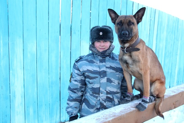 Клонированные служебные собаки выходят на службу в Якутии