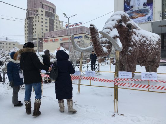 Снежную скульптуру мамонта в Якутске огородили от вандалов