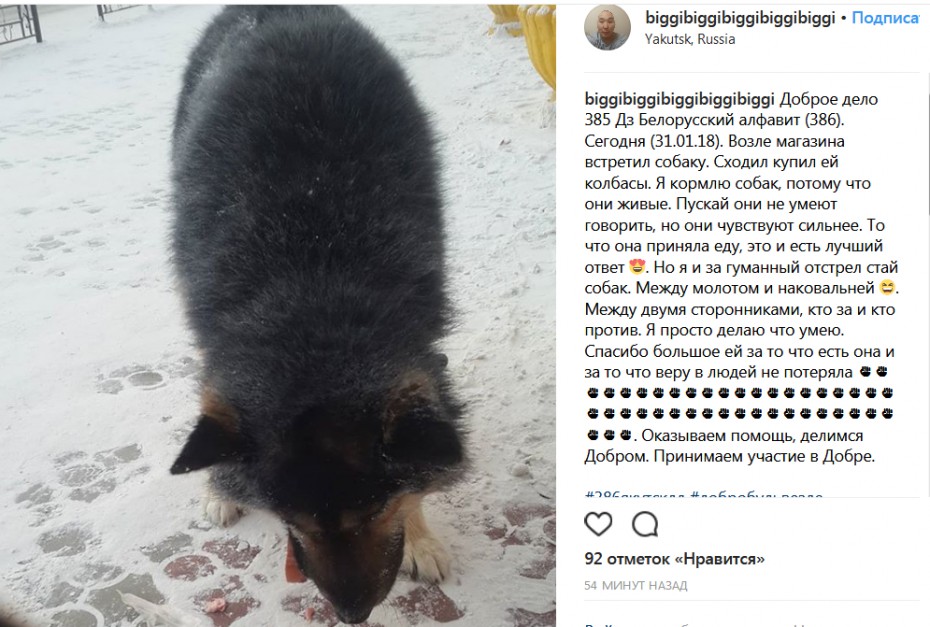 Якутского Добрыню заклинило на "гуманном отстреле" собак 