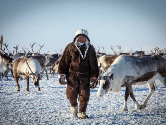 В Якутии преступили к разработке стратегии арктической зоны 