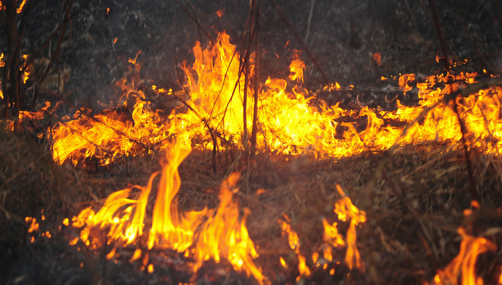 В Сибири увеличивается площадь лесных пожаров
