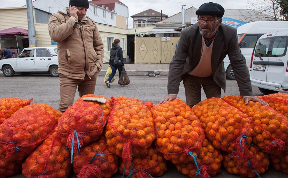 Россия с 10 апреля снимет запрет на ввоз овощей и фруктов из Абхазии