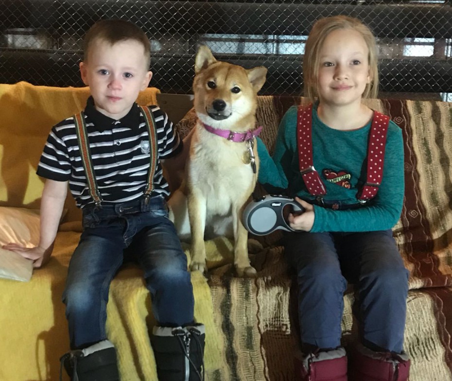 В Якутске прошел благотворительный фестиваль собак Happy Pets