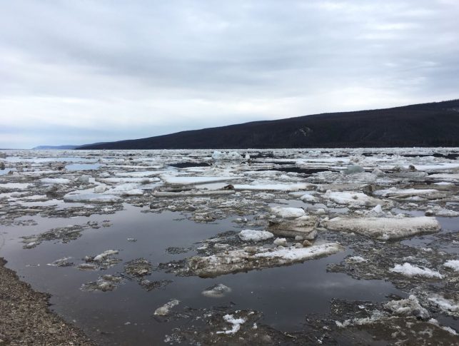 У города Якутска река Лена очистилась от льда