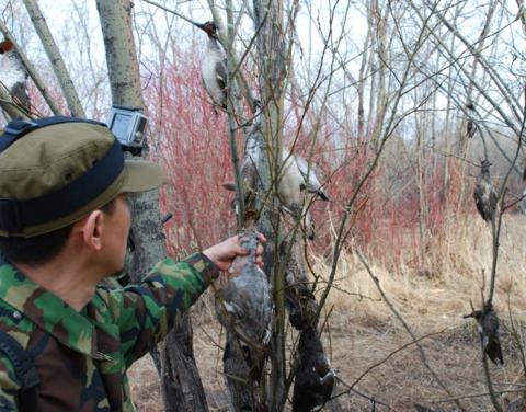 Минприроды Якутии выходит в рейды по выявлению браконьеров 