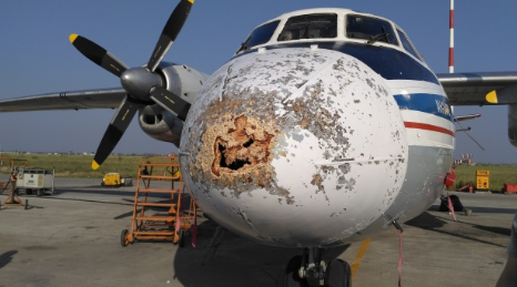 Самолет "Полярных авиалиний" получил повреждения во время жесткой посадки  