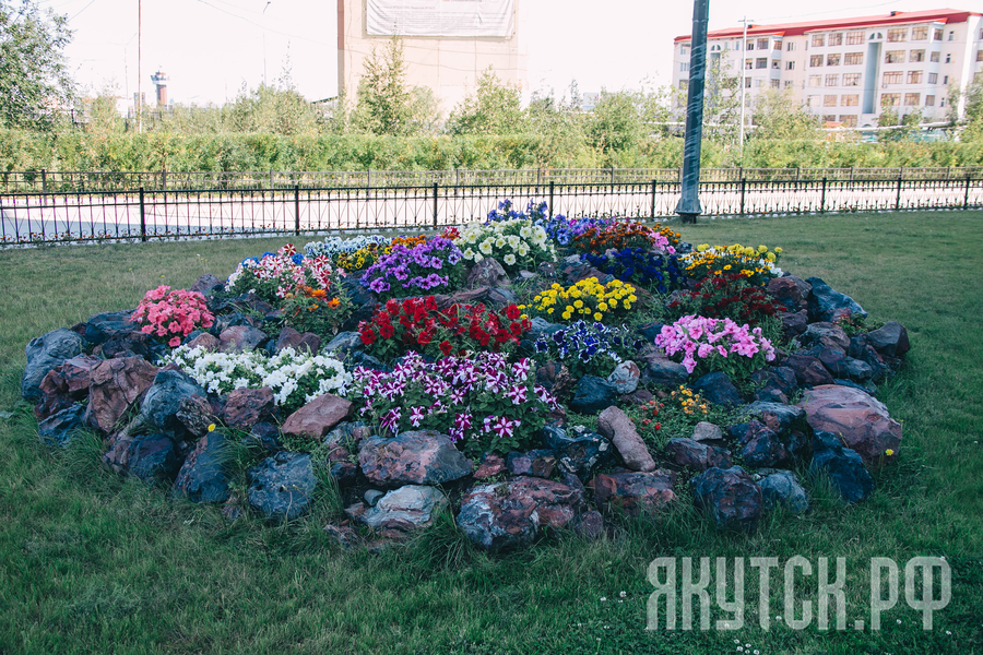 В Якутске продолжается акция "Миллион цветов"