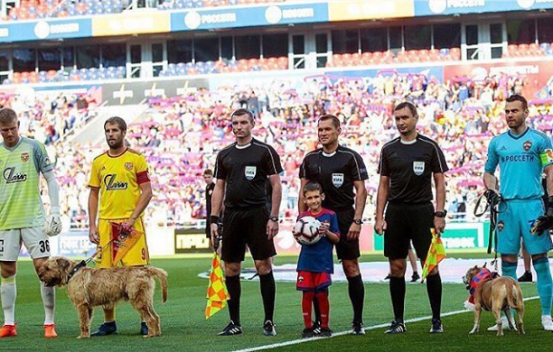 Футболисты ЦСКА в день защиты животных вышли на поле с собаками из приюта 