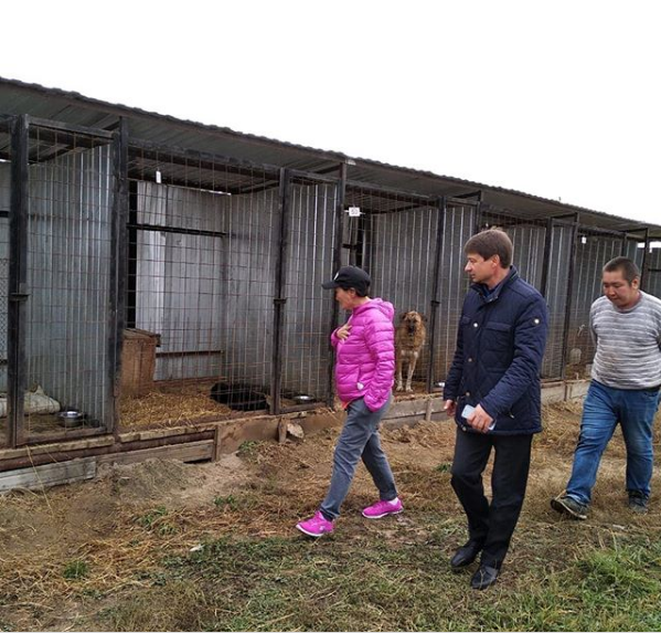 Мэр Якутска и ее первый заместитель посетили пункт передержки животных 