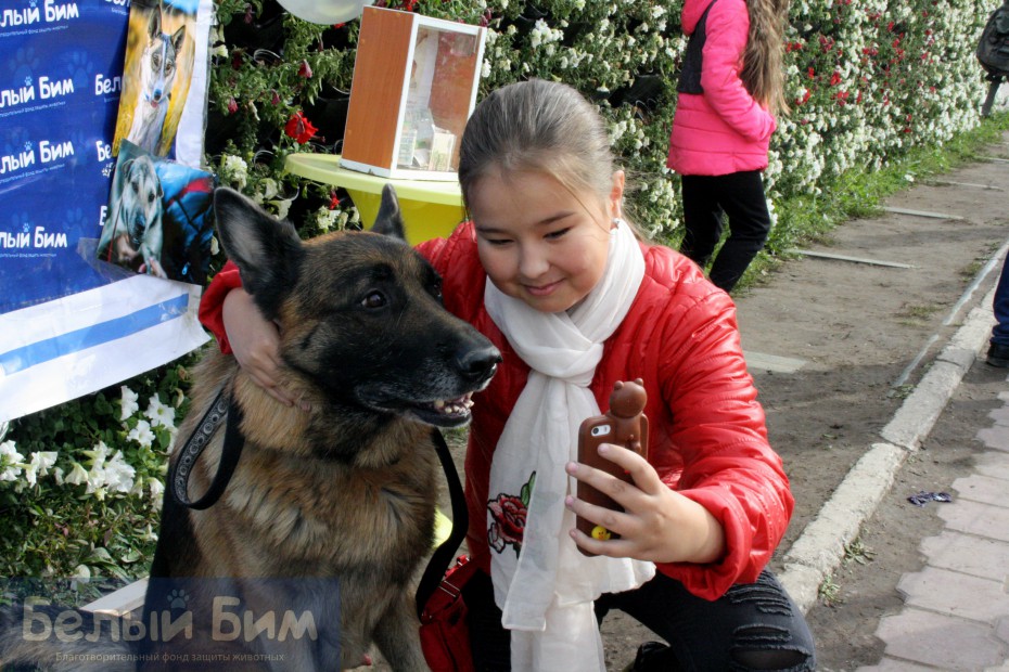 Фотозона с собаками. Фонд защиты животных "Белый Бим" провел благотворительную акцию