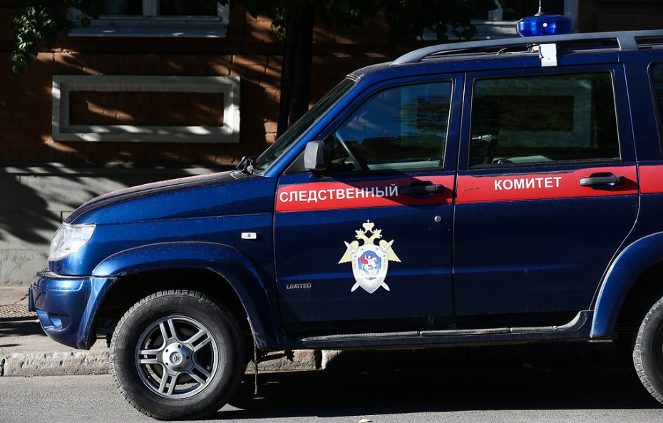 СК Кубани задержал организатора цирка, в котором львица напала на 4-летнюю девочку 