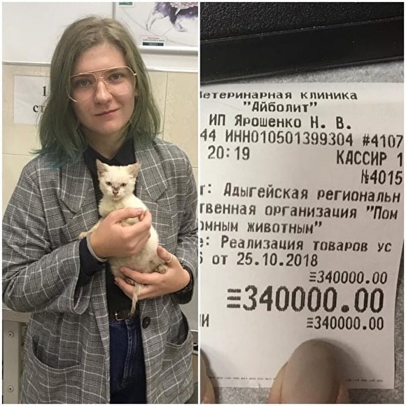 Жительница Майкопа оплатила долг приюта для животных перед ветеринарной клиникой