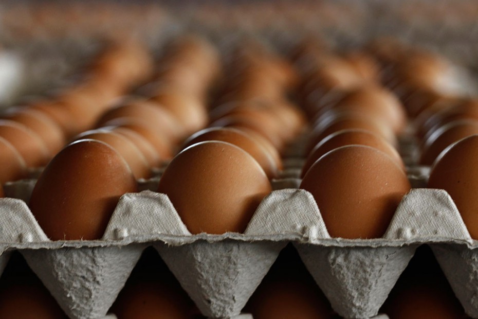 В соцсетях растиражировали фото упаковок с девятью яйцами