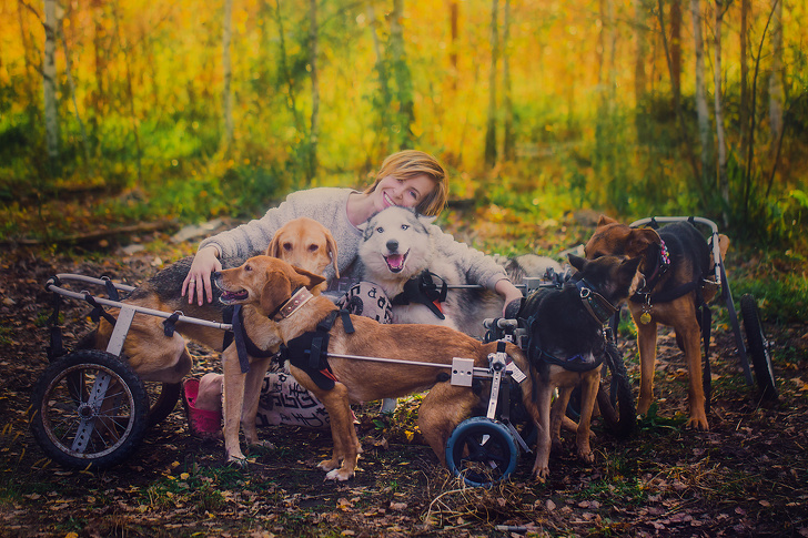 Девушка живет в лесу с сотней покалеченных собак. А раньше она была известным на всю Москву фотографом