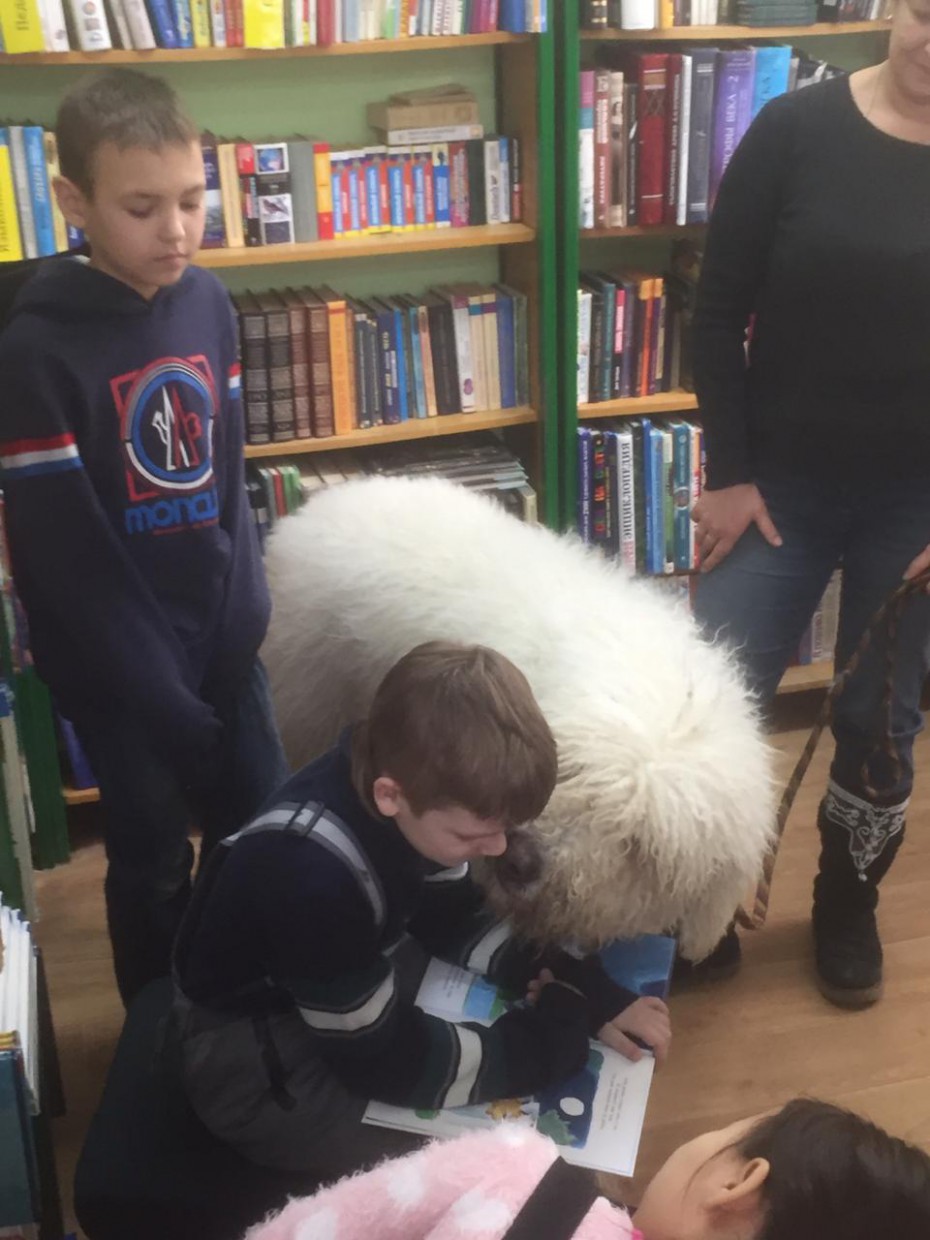 В Якутске Фонд защиты животных "Белый Бим" организует для детей "Чтение собакам"
