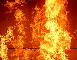 В Якутске пожарных 12 раз вызывали на возгорание травы 