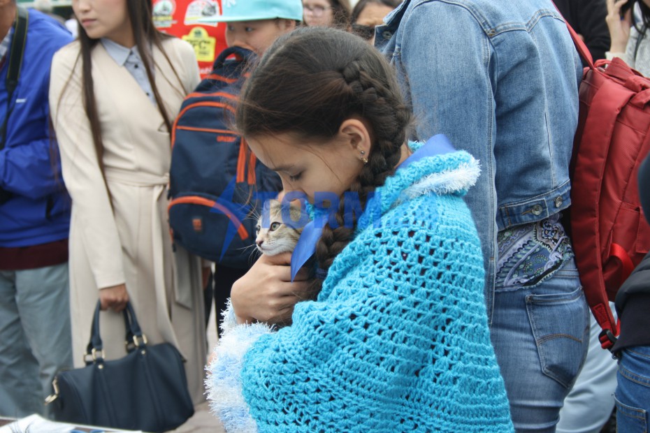В Якутске пройдет Ярмарка-пристройство бездомных животных «Хочу домой»