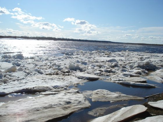 Ледоход на реке Лене подходит к Якутску