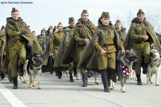 В Якутске собаки выйдут на Парад Победы
