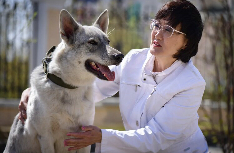 «Я люблю собак». Известные якутяне приняли участие в благотворительной акции   