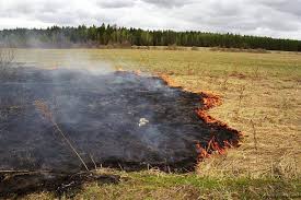 В Якутии пожарных девять раз вызывали на возгорание мусора и травы