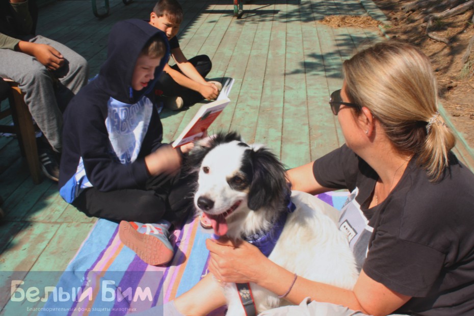В Якутске дети читают книги собакам