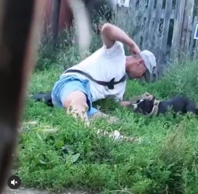 В Якутске пьяный мужчина жестоко избивал собаку