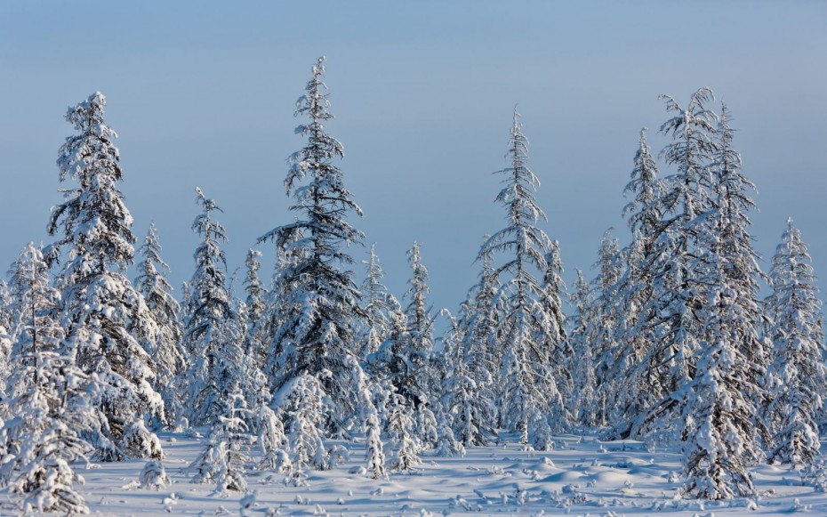 В Якутии наступили 50-градусные морозы 