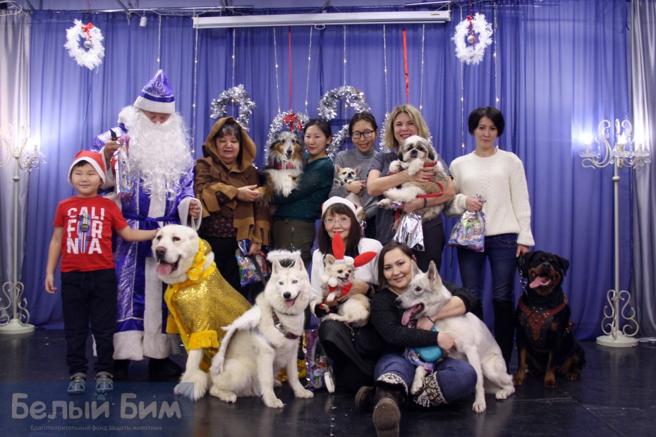 Более ста детей из многодетных семей приняли участие в проекте "Дети читают собакам" в Якутске