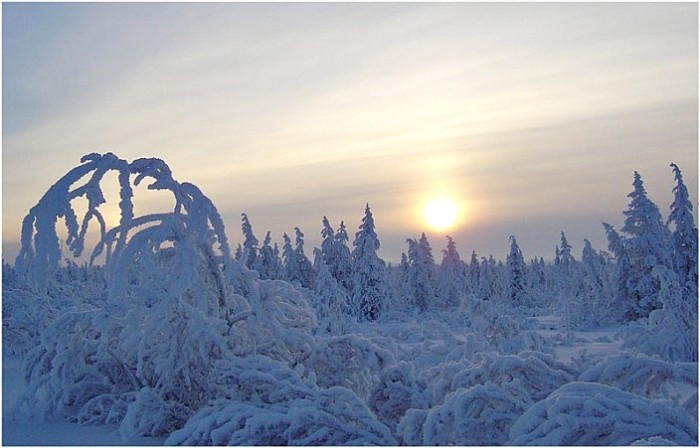В Якутии ожидаются 50-градусные морозы