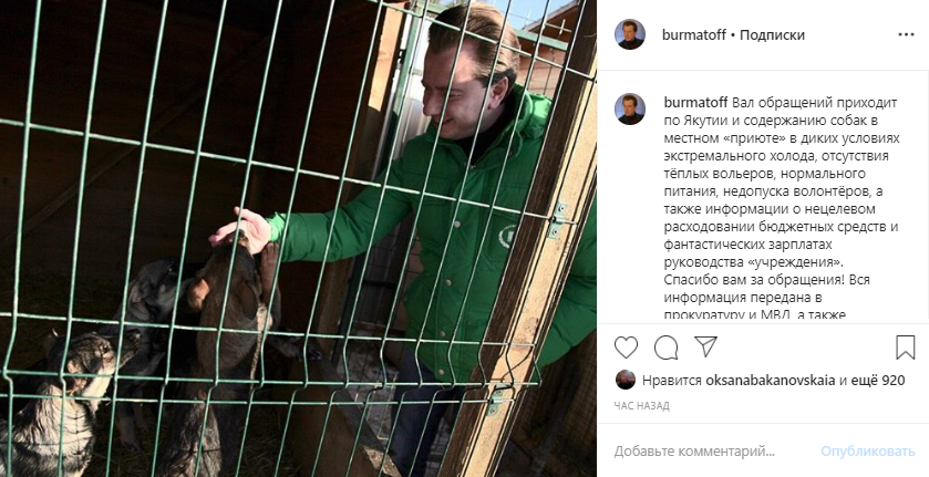 Якутским "приютом" для животных занялся Владимир Бурматов