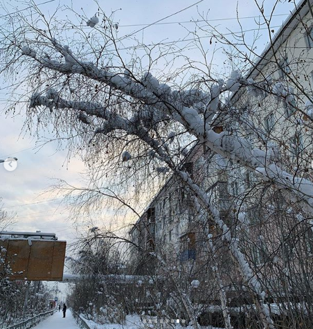 В Якутии ожидается рекордно теплый март
