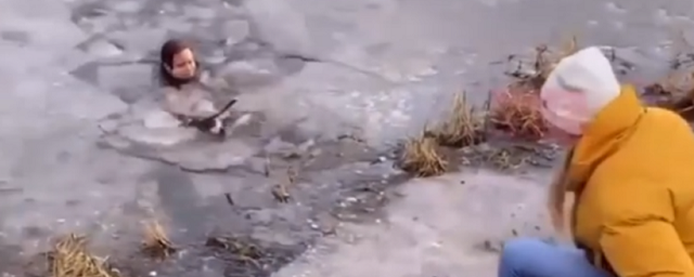 Многодетная мать прыгнула в ледяной пруд, спасая собаку