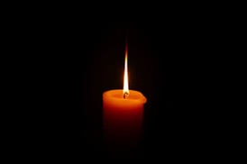 "Свеча для маленького друга". В Якутске пройдет акция в память об убитых в пункте передержки животных