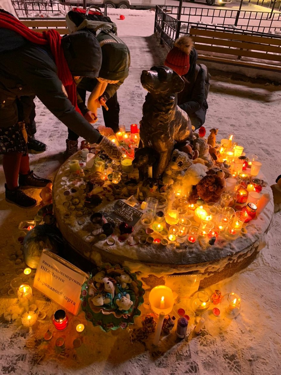В Якутске прошла акция в память об убитых животных  «Свеча для маленького друга»