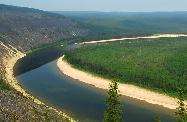 "В случае вырубки леса коренные жители Якутии останутся без исконных земель" 