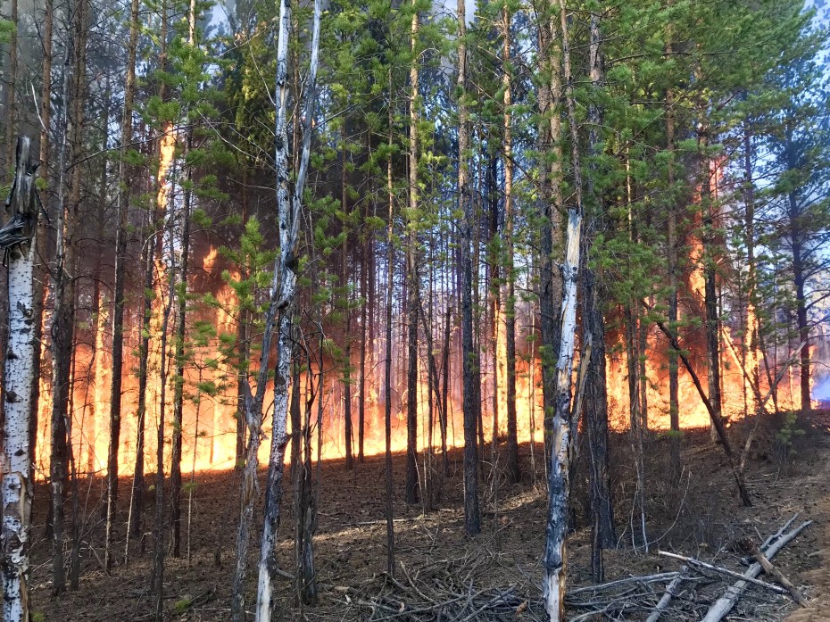 На территории Якутии действует четыре природных пожара