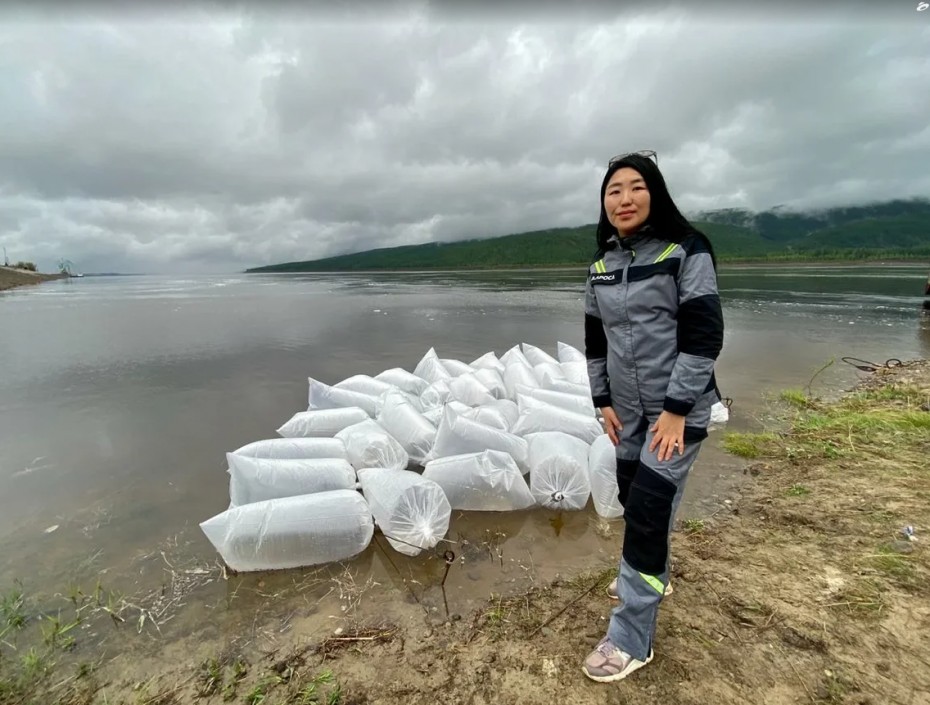 Экологический центр АЛРОСА начал ежегодную программу зарыбления рек Якутии