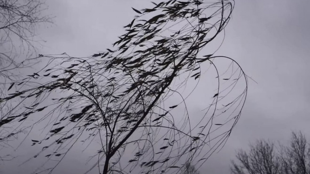 В районах Якутии ожидается порывистый ветер, на севере – метель