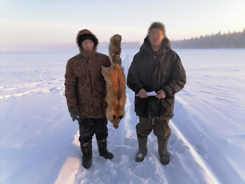 В Якутии возбуждено уголовное дело по факту жестокого обращения с животным