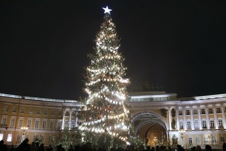Ёлку на Дворцовой площади Петербурга оставят до конца января