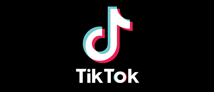 Представители TikTok, Telegram, Facebook и "ВКонтакте" вызваны в Роскомнадзор
