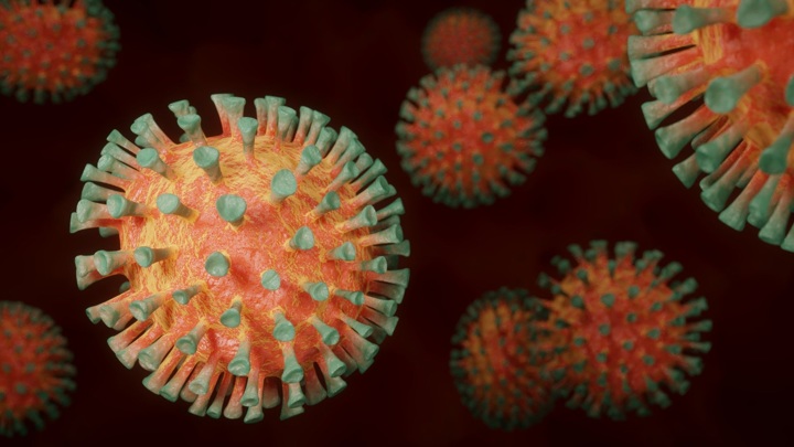 Два новых штамма коронавируса найдены в США