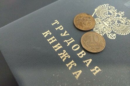 В РФ могут ввести новый налог 2% на зарплату для выплат пособий безработным