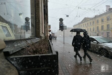 В Петербурге и Ленобласти пройдут дожди с мокрым снегом