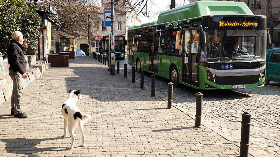 В Грузии до 12 мая прекращена работа общественного транспорта