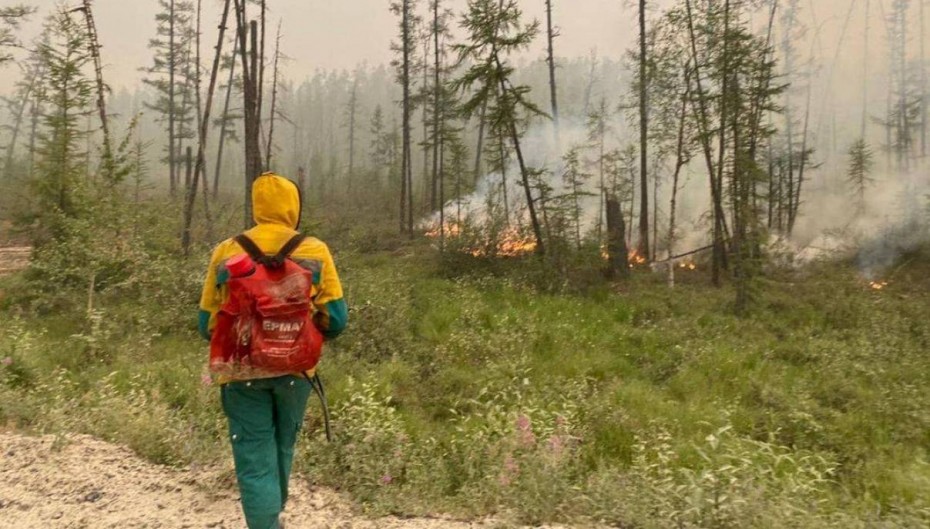Пожар возле села Сюльдюкар не угрожает населённому пункту - правительство Якутии