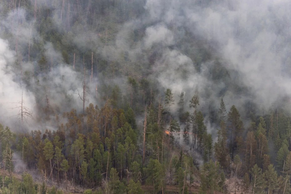 В Горном районе Якутии бушует 21 лесной пожар